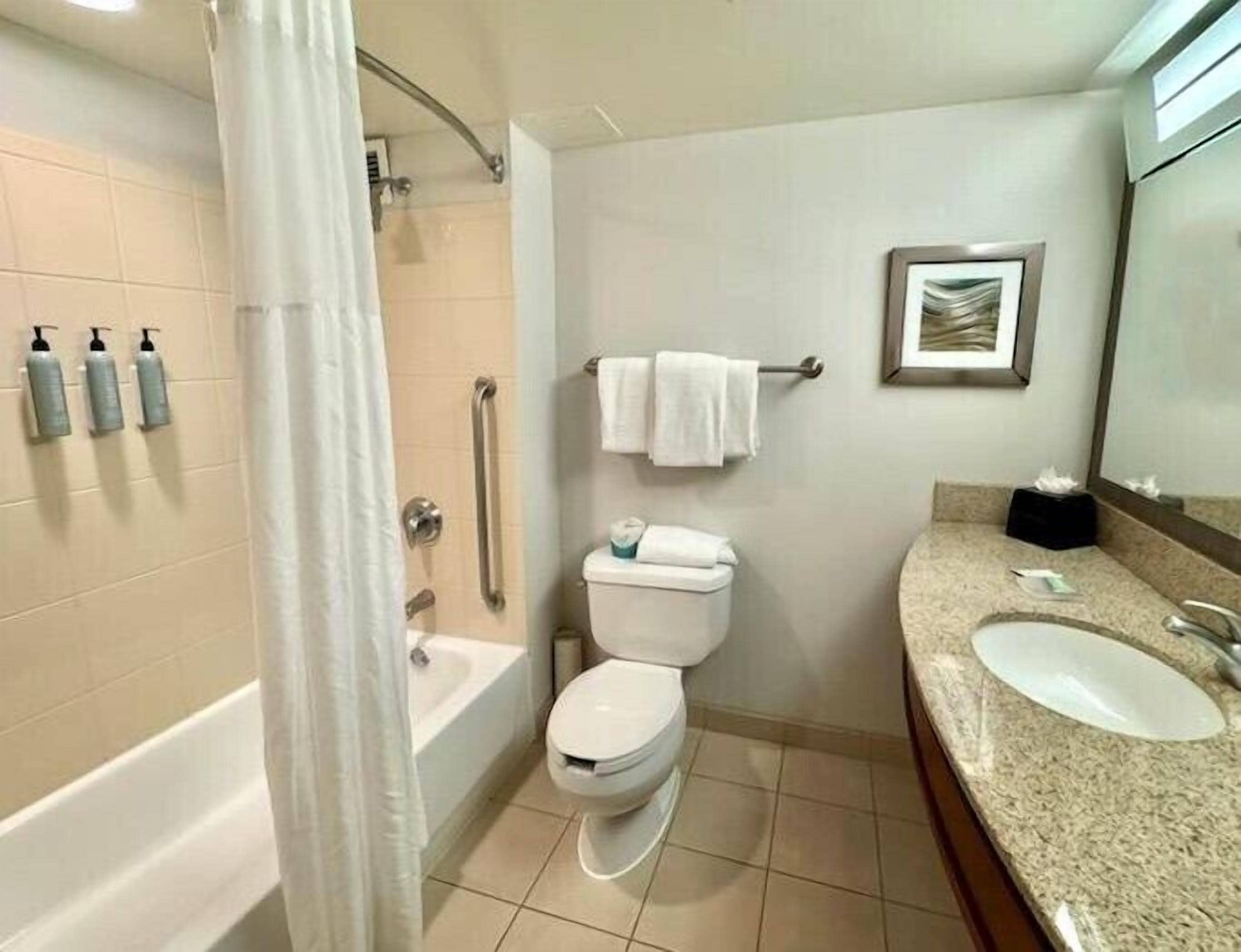 Un baño con bañera, inodoro y lavabo. Hay dispensadores de jabón en la pared, un perchero con toallas y un cuadro enmarcado.