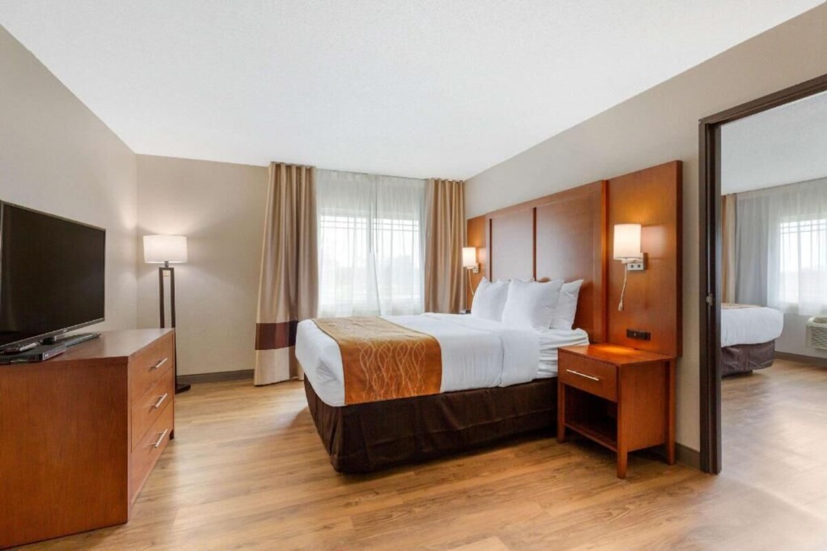 A hotel room with a bed, bedside table, lamp, TV, and a wooden dresser.