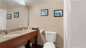 Une salle de bain avec un lavabo sur un plan de travail en granit, des toilettes et un rideau de douche.