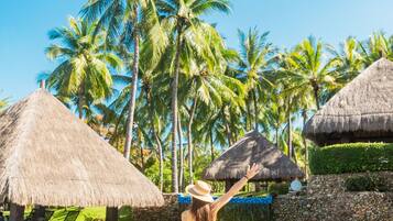 Outdoor pool, sun loungers
