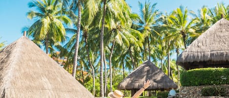 Alberca al aire libre y camastros