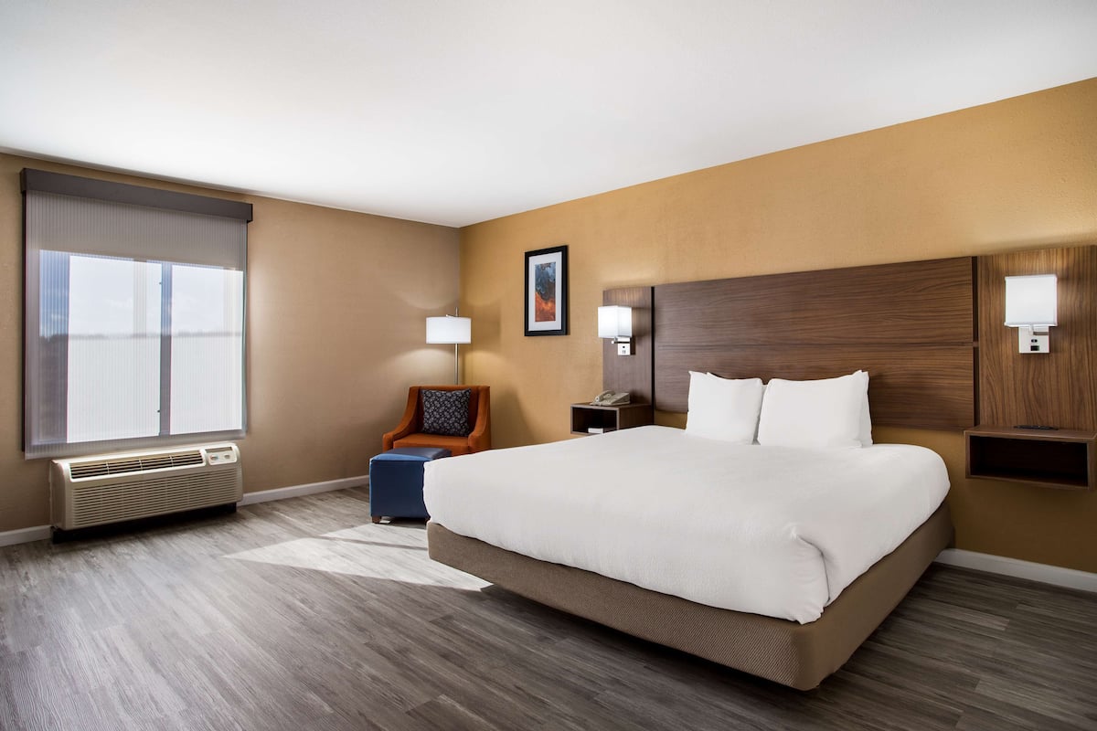 Standard Room, 1 King Bed, Accessible, Refrigerator & Microwave