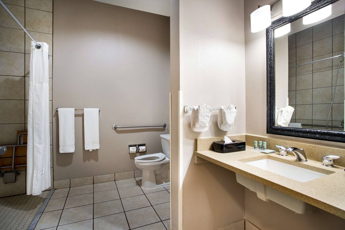 standard room, 1 king bed, accessible, refrigerator & microwave | bathroom | rainfall showerhead, free toiletries, hair dryer, towels