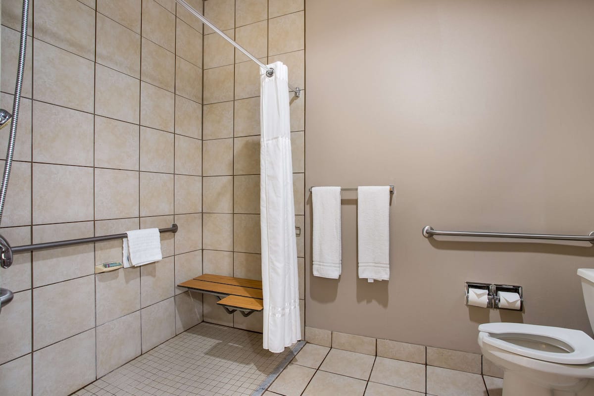 standard room, 1 king bed, accessible, refrigerator & microwave | bathroom | rainfall showerhead, free toiletries, hair dryer, towels