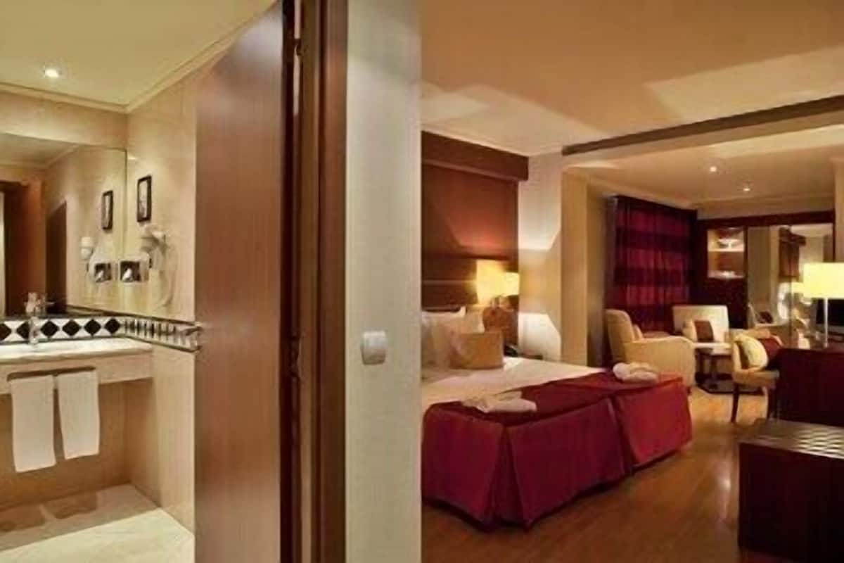 Habitación de hotel con cama, escritorio, silla, espejo y baño con lavabo y toallero.