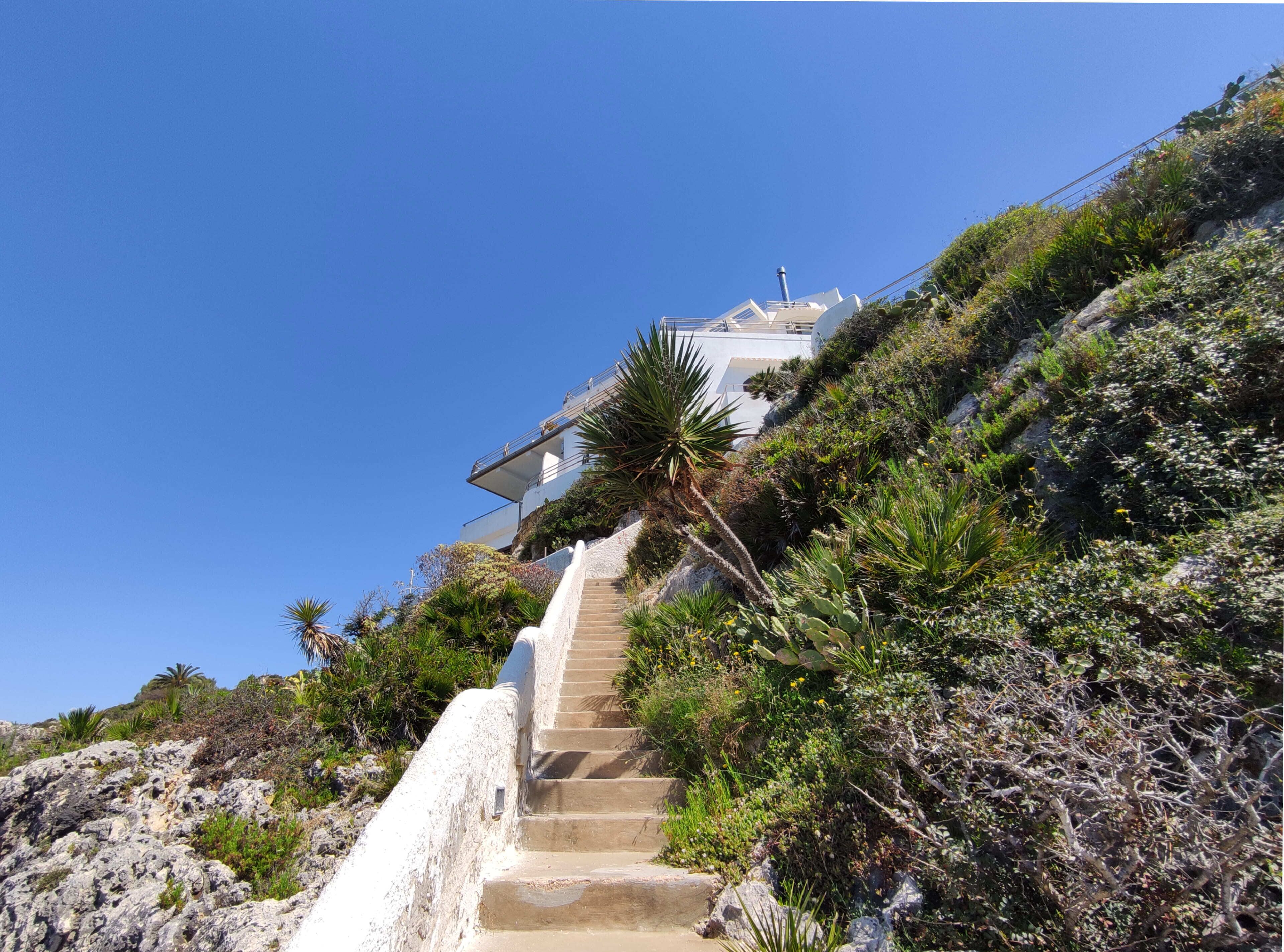 Photo - La Rosa Sul Mare