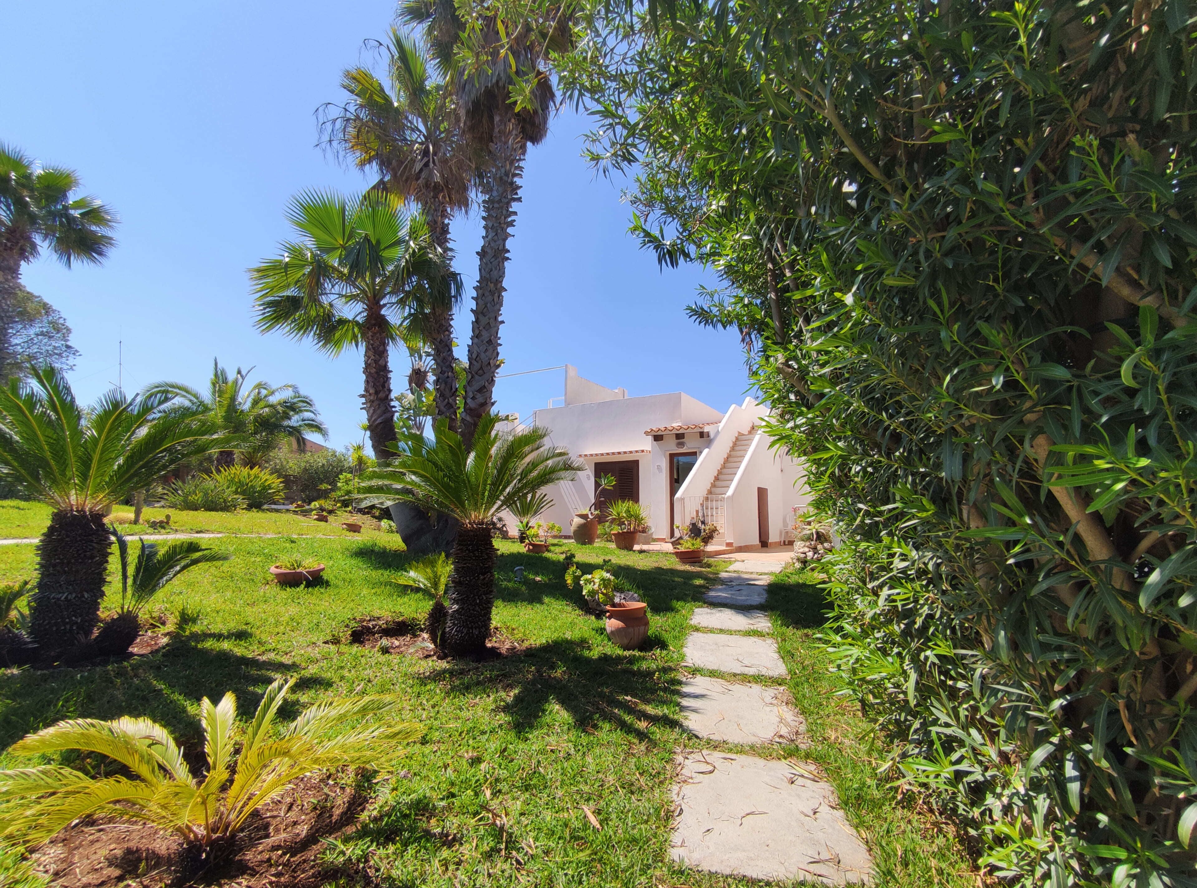A garden with palm trees, a pathway, and a building with a staircase.