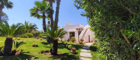A garden with palm trees, a pathway, and a building with a staircase.
