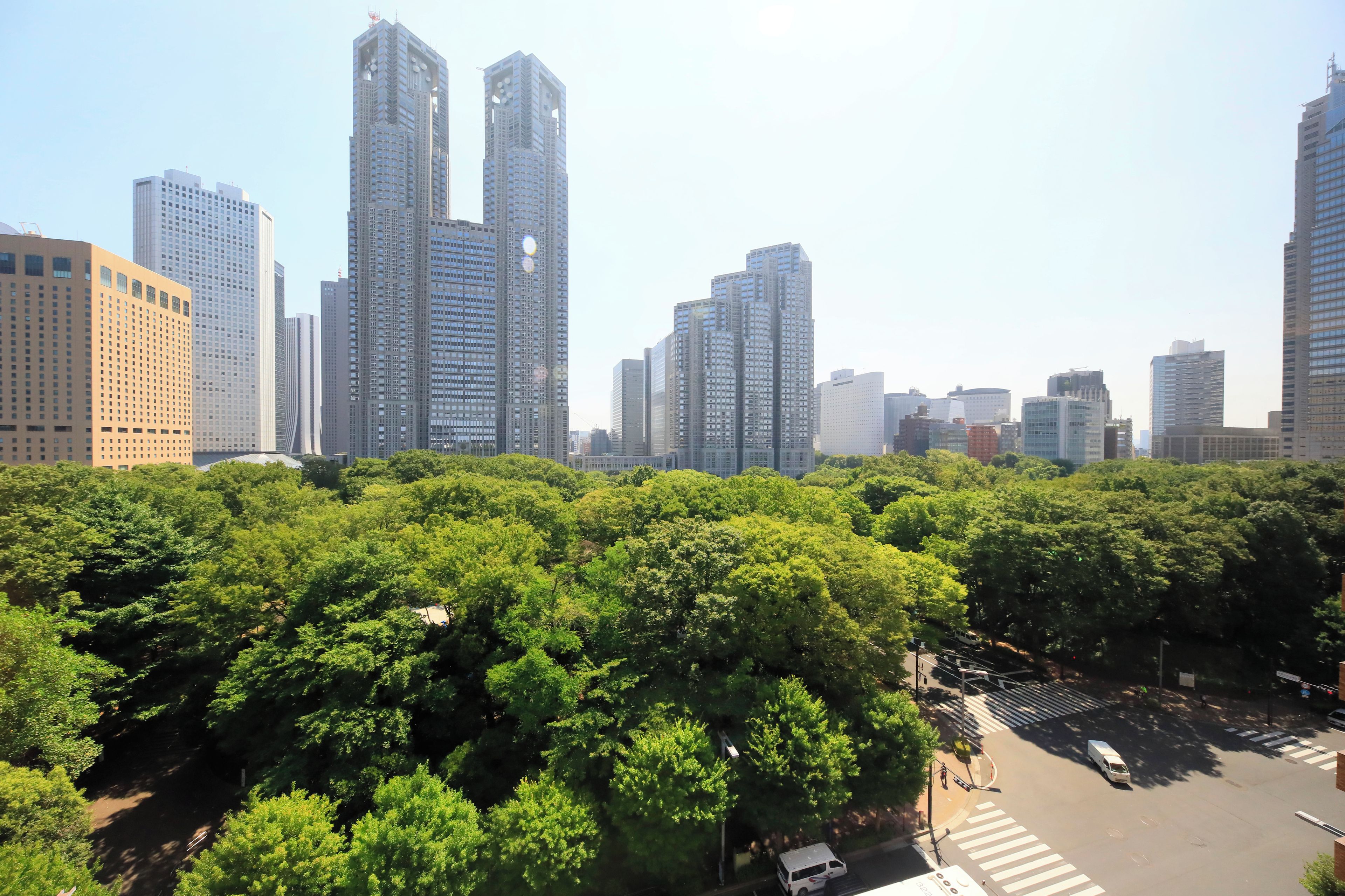 公園景