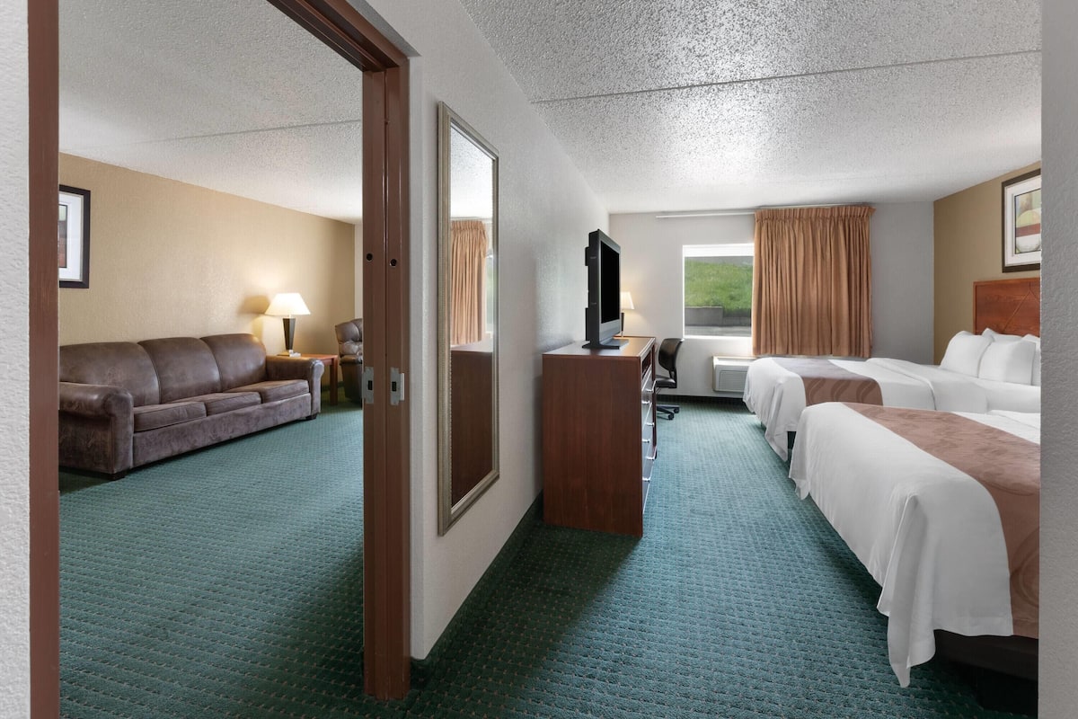 A hotel room with a green carpet, a brown sofa, two beds with white and brown bedding, a TV, and a window with curtains.