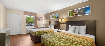 Econo Lodge Inn & Suites Lugoff