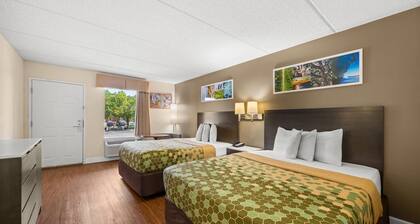Econo Lodge Inn & Suites Lugoff