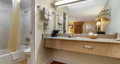 Econo Lodge Inn & Suites Lugoff