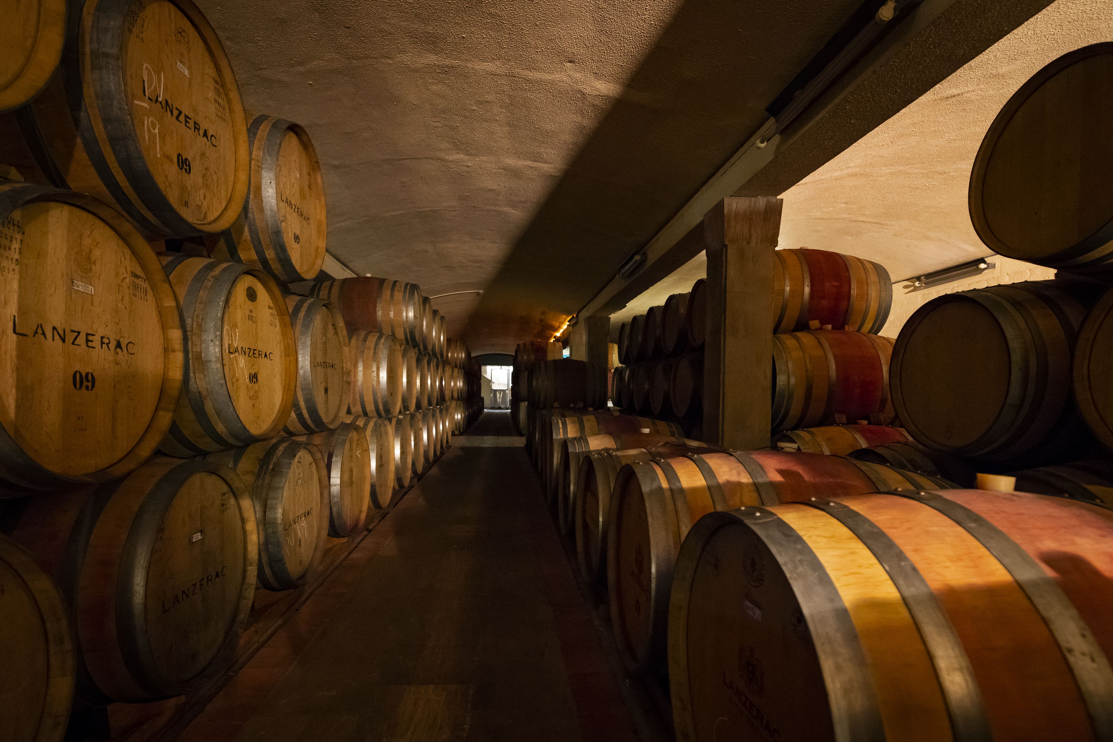 Une longue cave faiblement éclairée, où de nombreuses rangées de barils en bois sont alignés contre les murs.