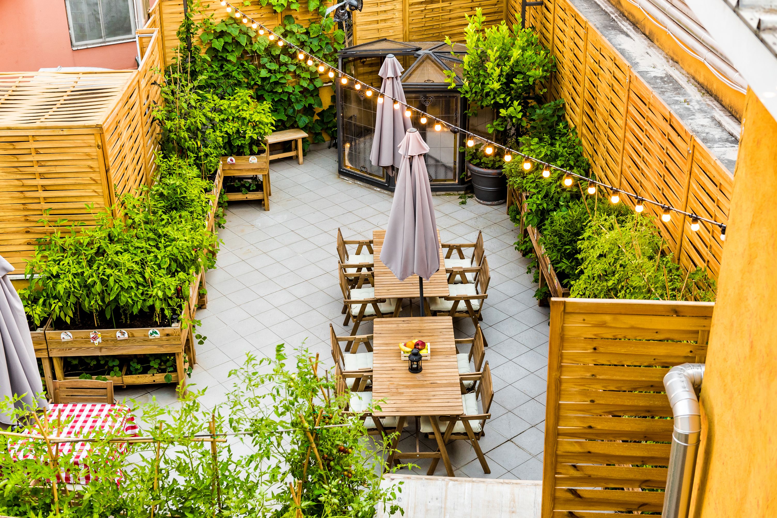 An outdoor patio with wooden furniture, string lights, and a greenhouse.
