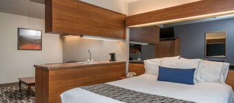 Microtel Inn & Suites by Wyndham Springfield