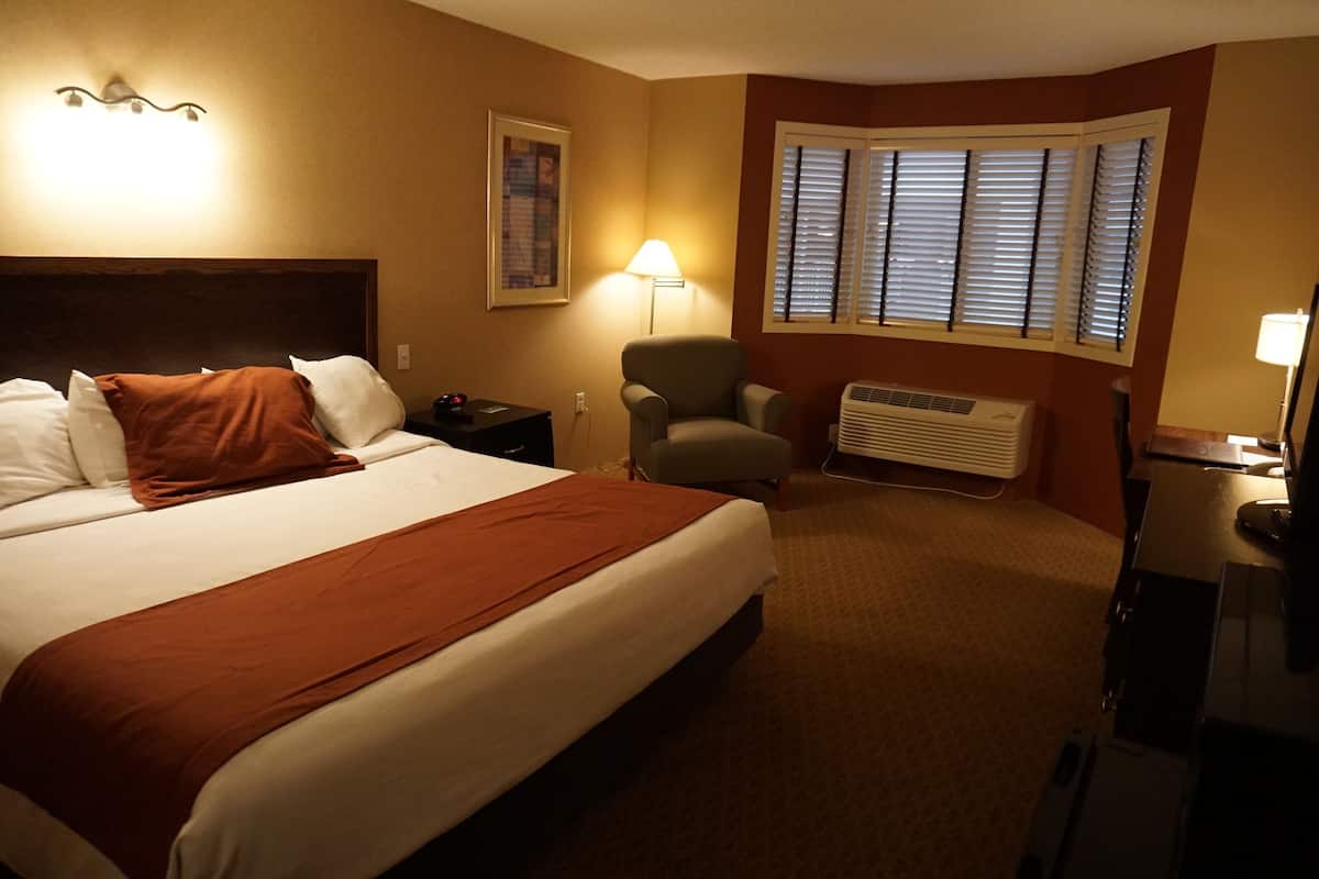 Standard Room, 1 King Bed, Non Smoking | 1 bedroom, desk, iron/ironing board, free WiFi