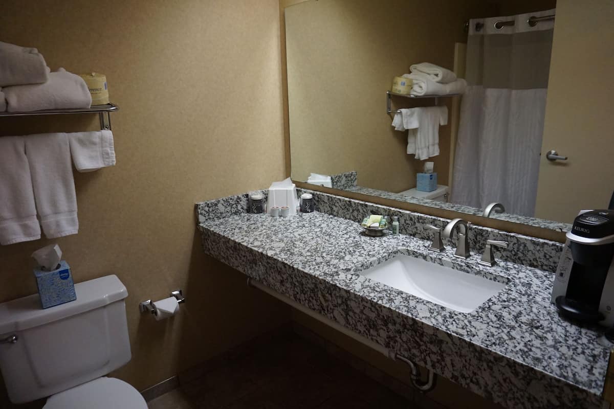 standard room, 1 king bed, non smoking | bathroom | free toiletries, hair dryer, towels