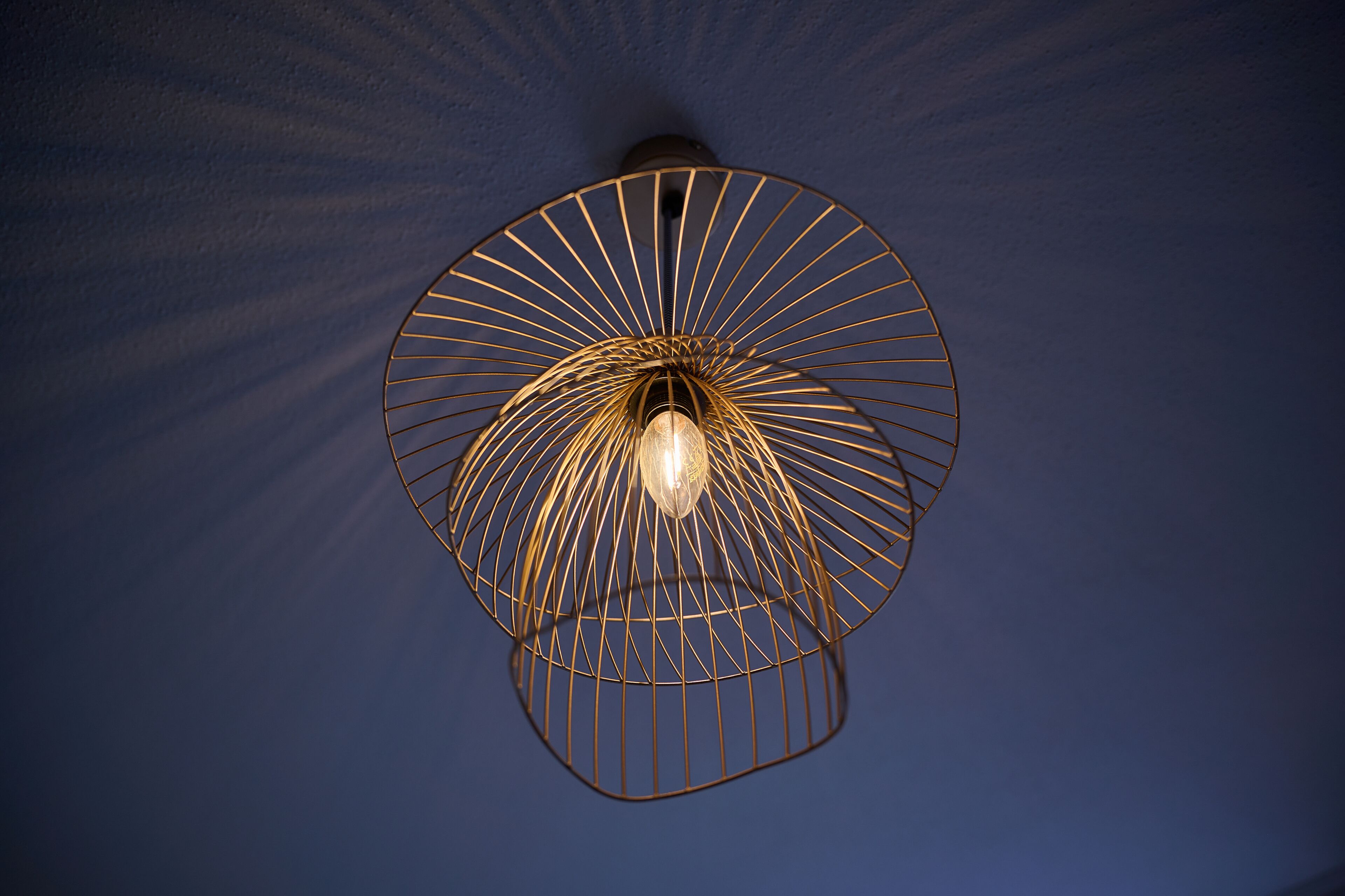 Foto - Hotel Lechnerhof Unterföhring