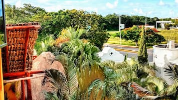 Vista desde la habitación