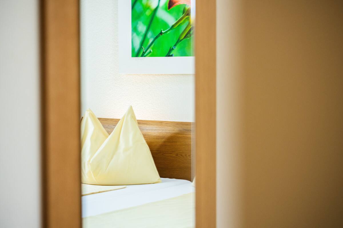 低過敏寢具、客房內保險箱、書桌、遮光布/窗簾