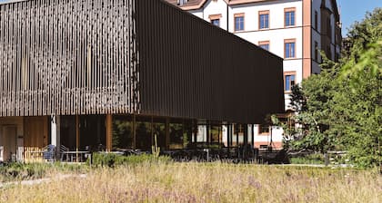 TOP HOTEL ODELYA Basel