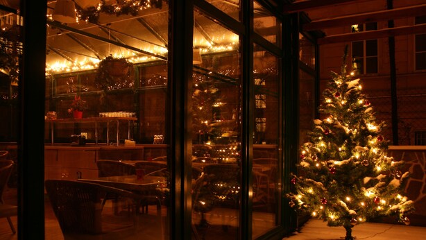 A Christmas tree decorated with lights and ornaments outside a building with large windows. - Anna Hotel (Prague)