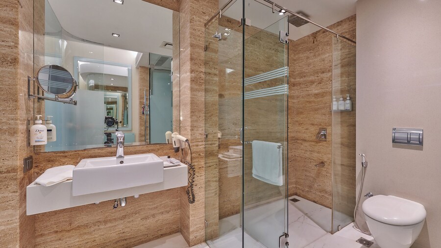 Hotel Residency Andheri