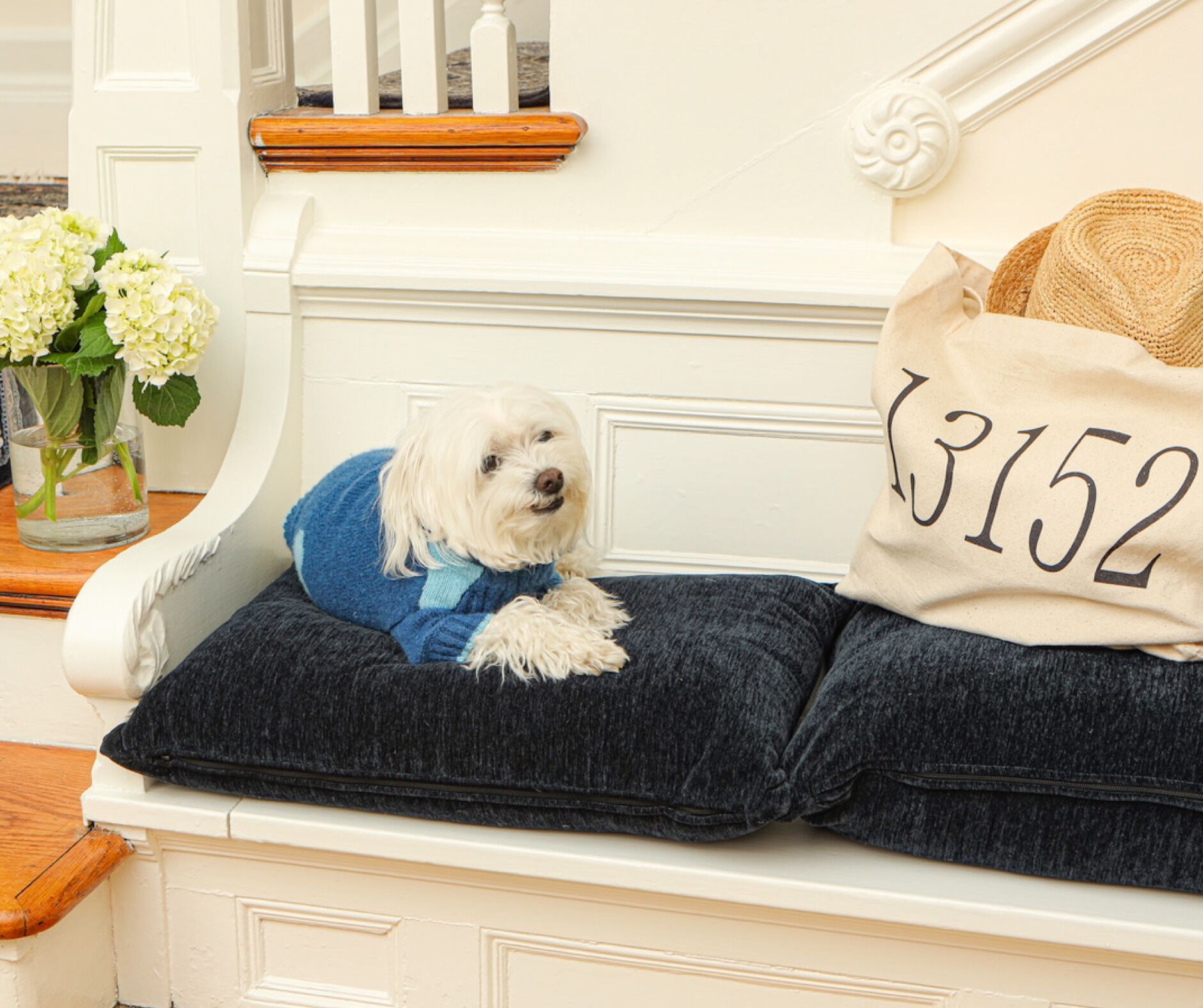 A white wall with a white door, a wooden bench, a vase with white flowers, and a beige pillow with numbers.