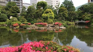 Un jardín tranquilo con un estanque, abundante vegetación y flores rosadas.