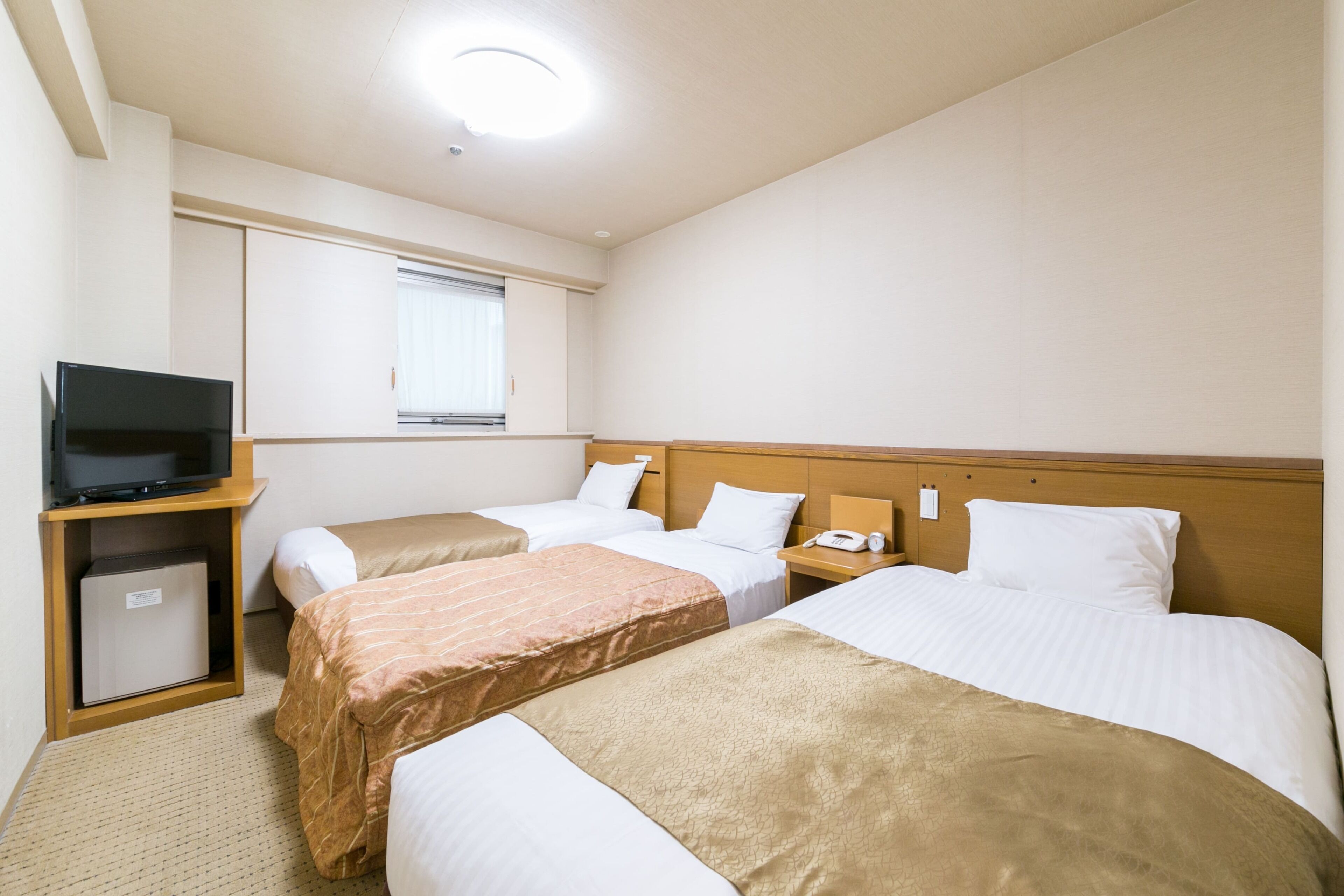 Triple Room, Multiple Beds, Non Smoking | Down comforters, in-room safe, desk, iron/ironing board (on request)