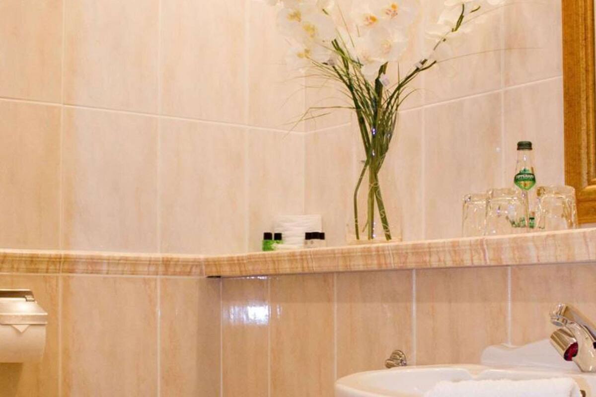 combined shower/bathtub, designer toiletries, hair dryer, towels