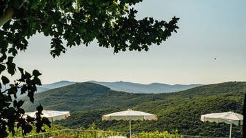 屋外プール、プール パラソル、サンラウンジャー