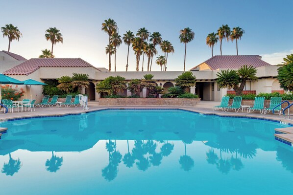 A swimming pool with lounge chairs and palm trees.