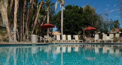 The Oasis