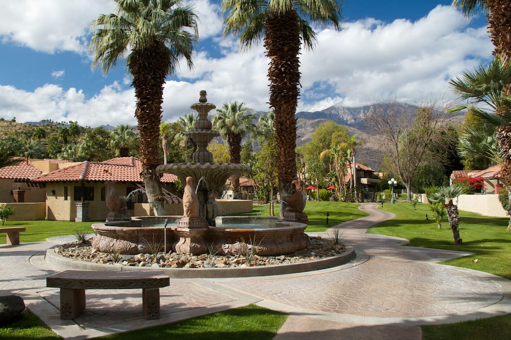 The Oasis