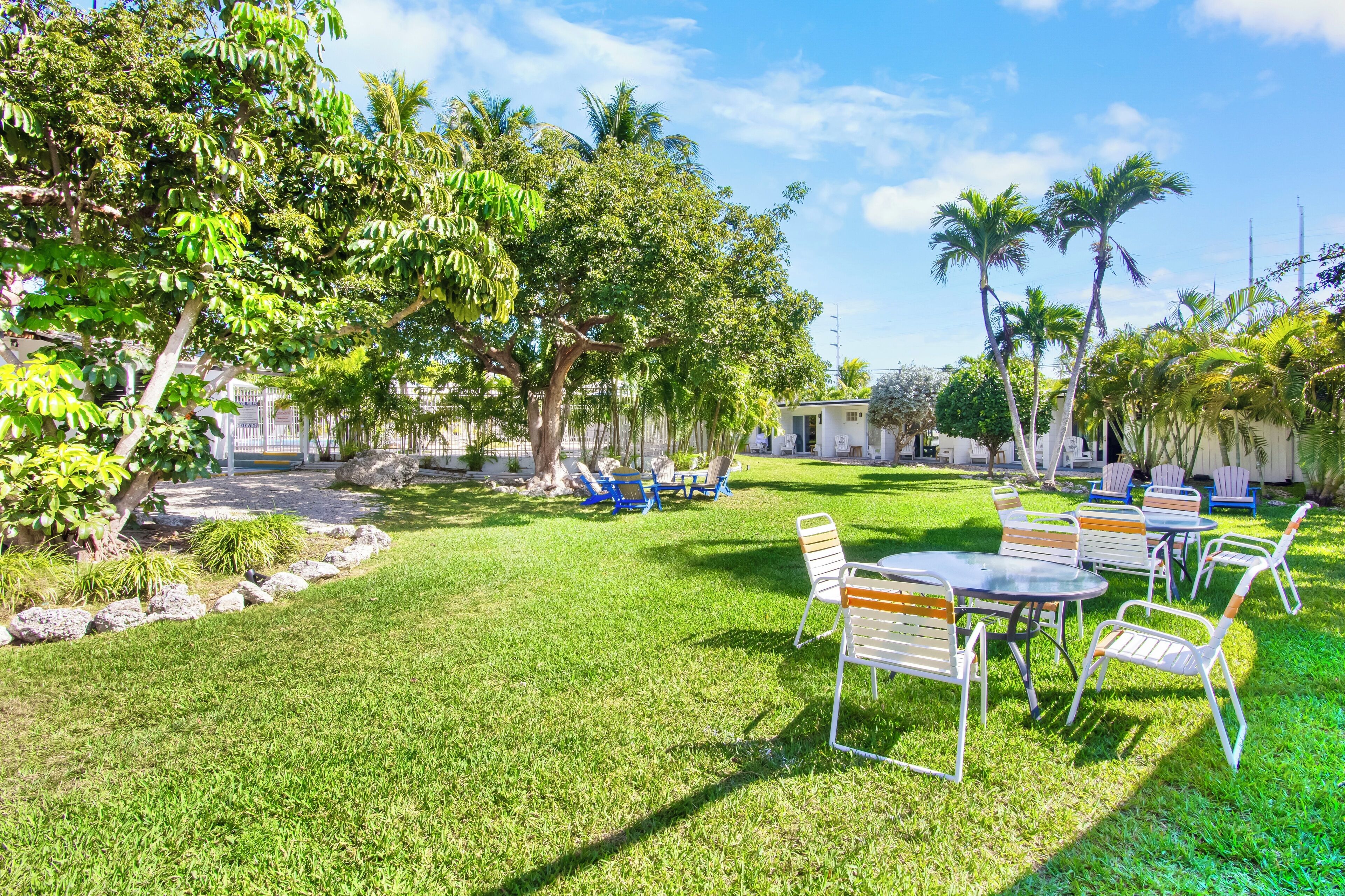 Un espace extérieur bien entretenu, avec une pelouse verdoyante, plusieurs arbres et des sièges extérieurs comprenant des chaises et des tables en métal.