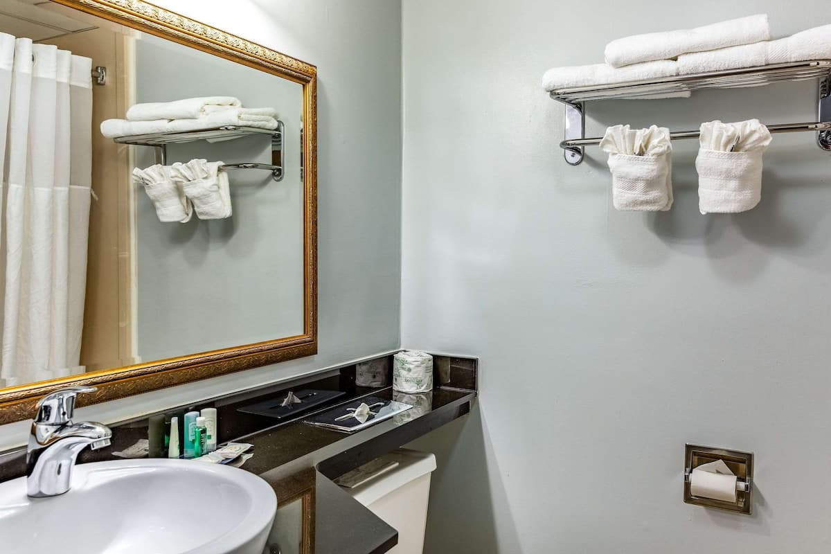 Tina con regadera, amenidades de baño gratuitas, secadora de cabello