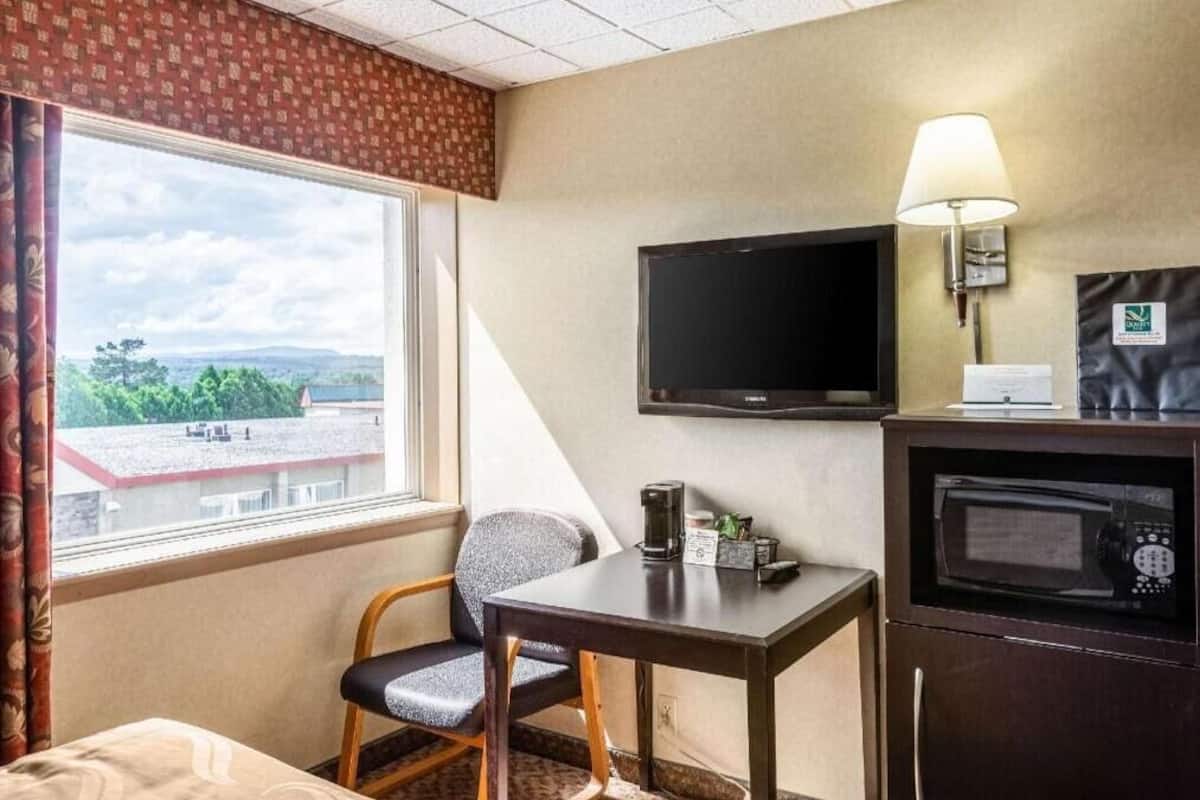 A hotel room with a bed, a desk with a chair, a television, a microwave, and a window with a view of greenery.