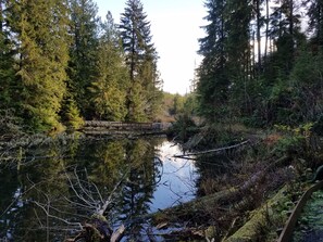 Sports facility - Motel 6 – Aberdeen, WA (Aberdeen)