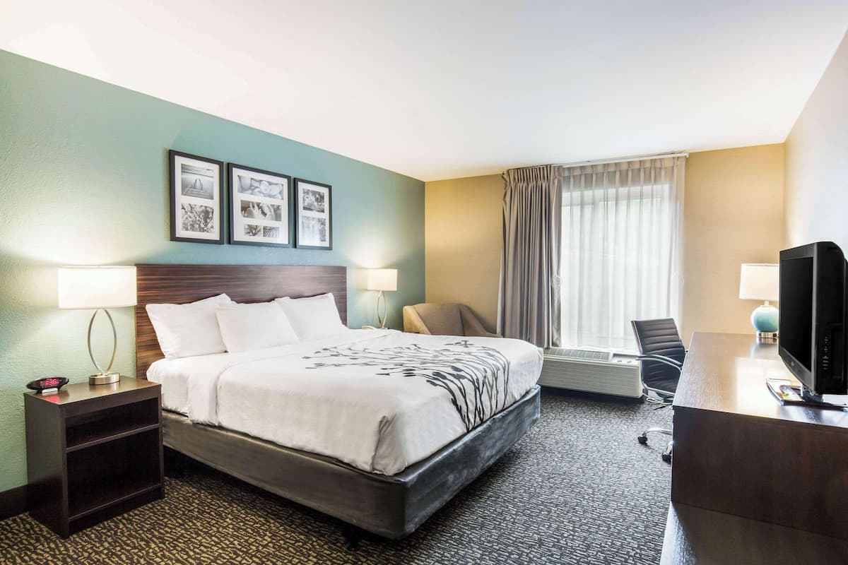 Standard Room, 1 King Bed, Accessible, Non Smoking | In-room safe, desk, laptop workspace, blackout drapes