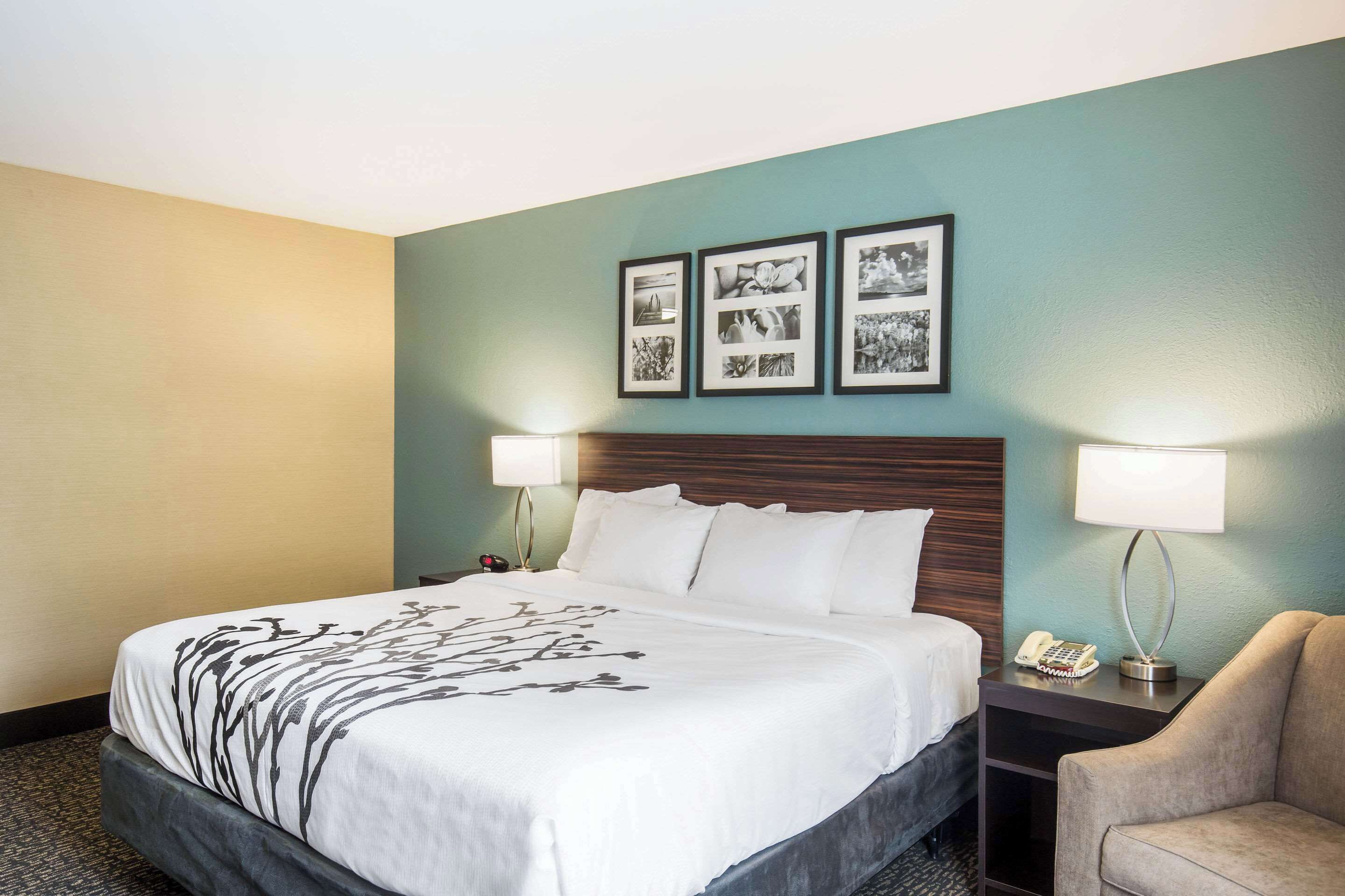 standard room, 1 king bed, accessible, non smoking | in-room safe, desk, laptop workspace, blackout curtains