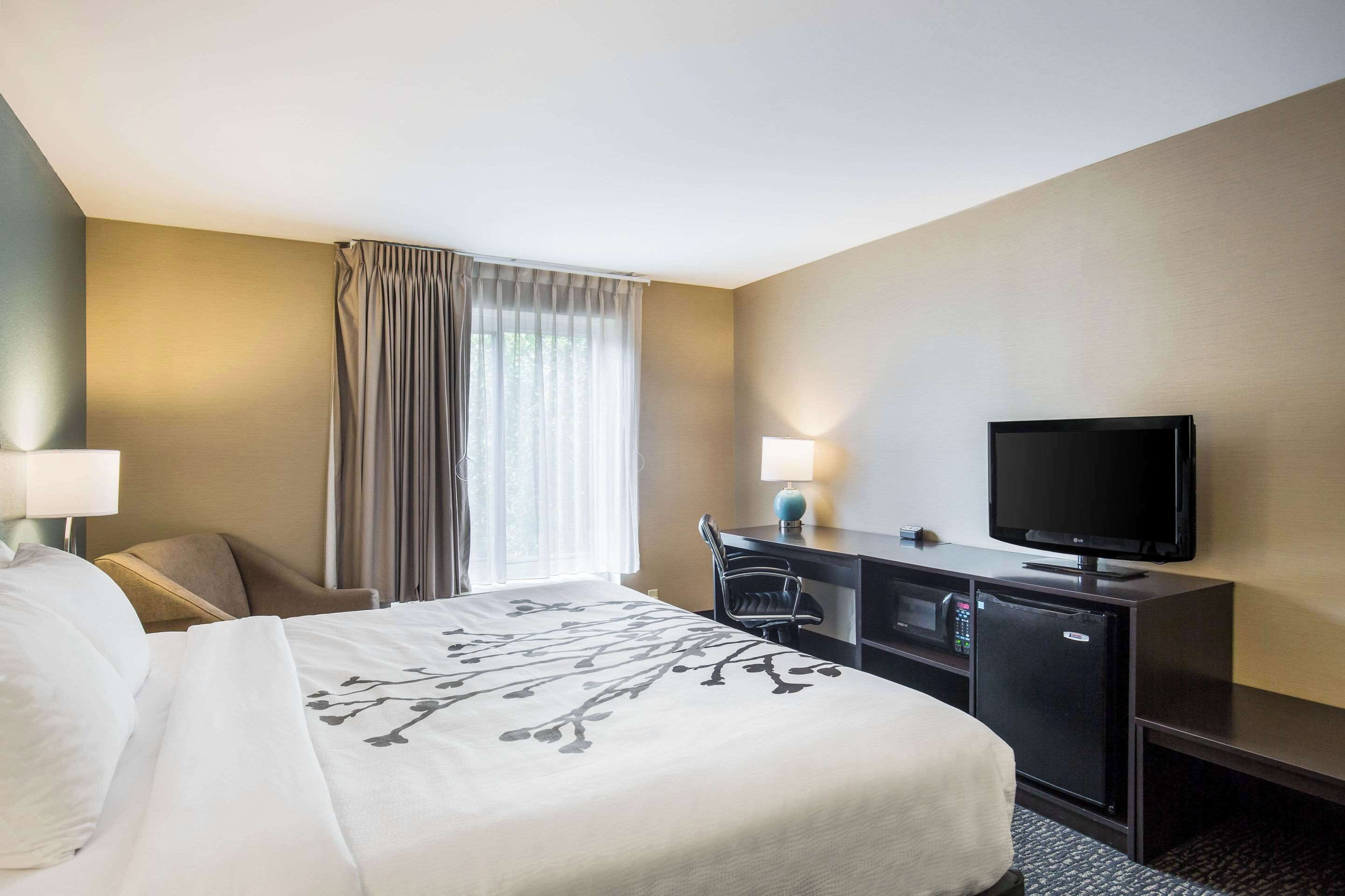 standard room, 1 king bed, accessible, non smoking | in-room safe, desk, laptop workspace, blackout curtains