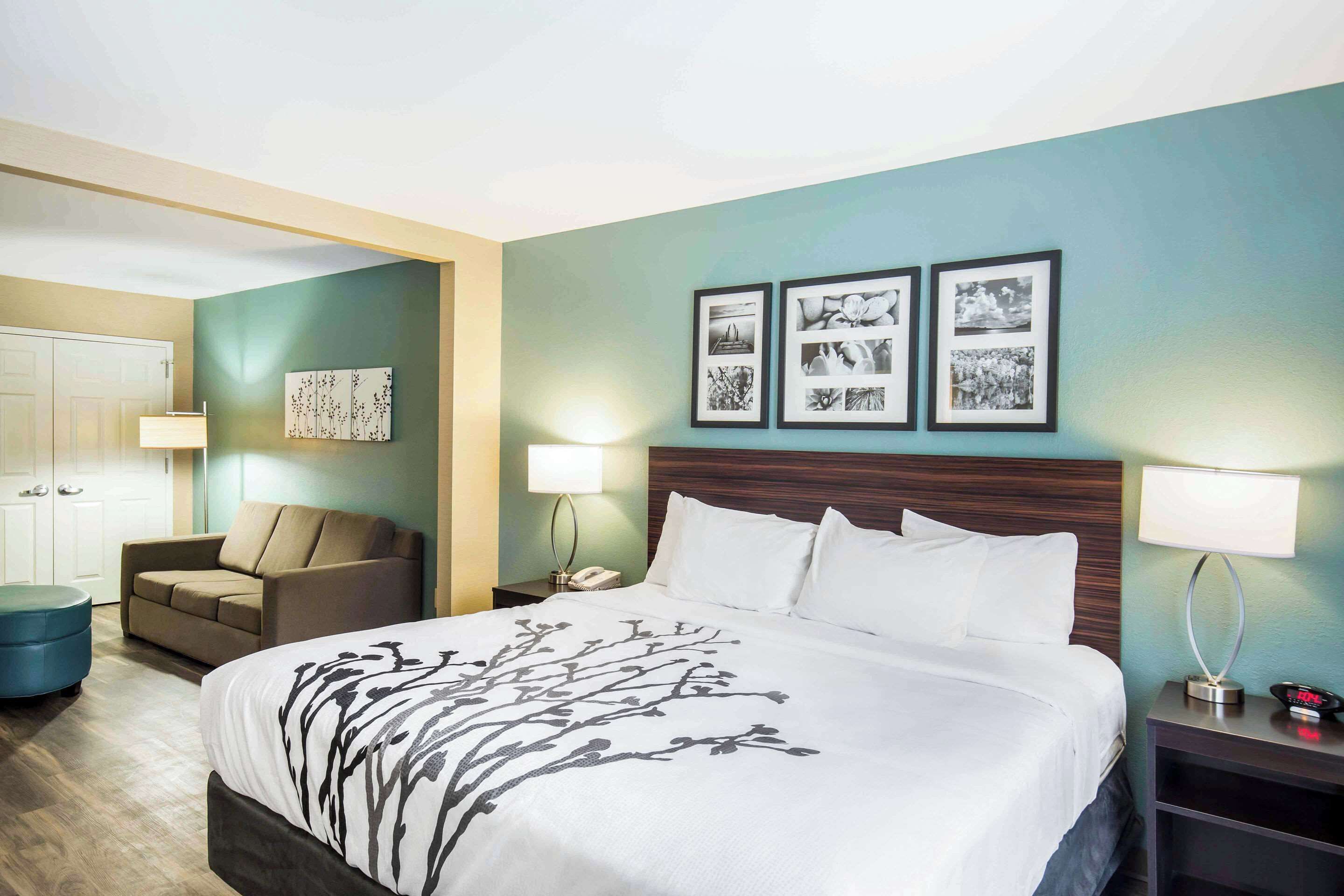 room, 1 king bed with sofa bed, accessible, non smoking (upgrade) | in-room safe, desk, laptop workspace, blackout curtains