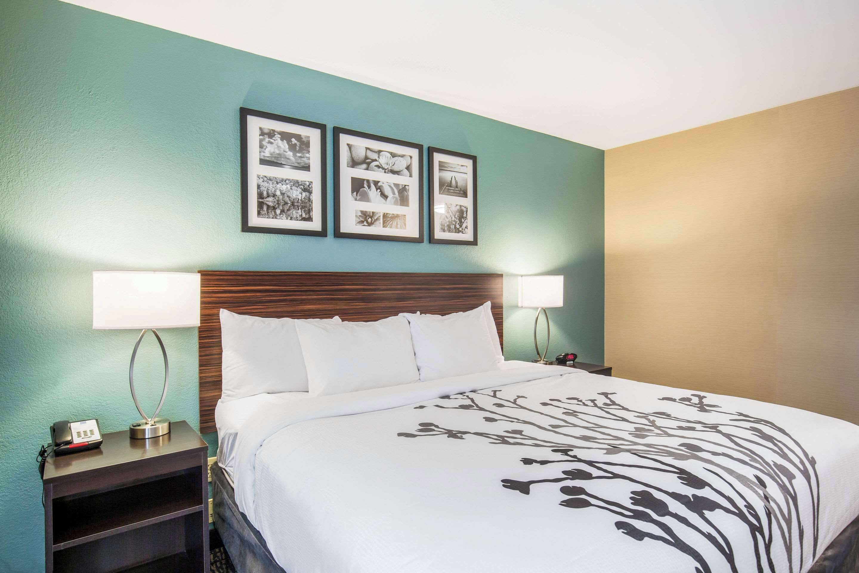 standard room, 1 king bed, non smoking | in-room safe, desk, laptop workspace, blackout curtains