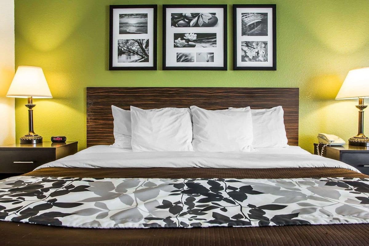 standard room, 1 king bed, non smoking | desk, blackout curtains, iron/ironing board, free wifi