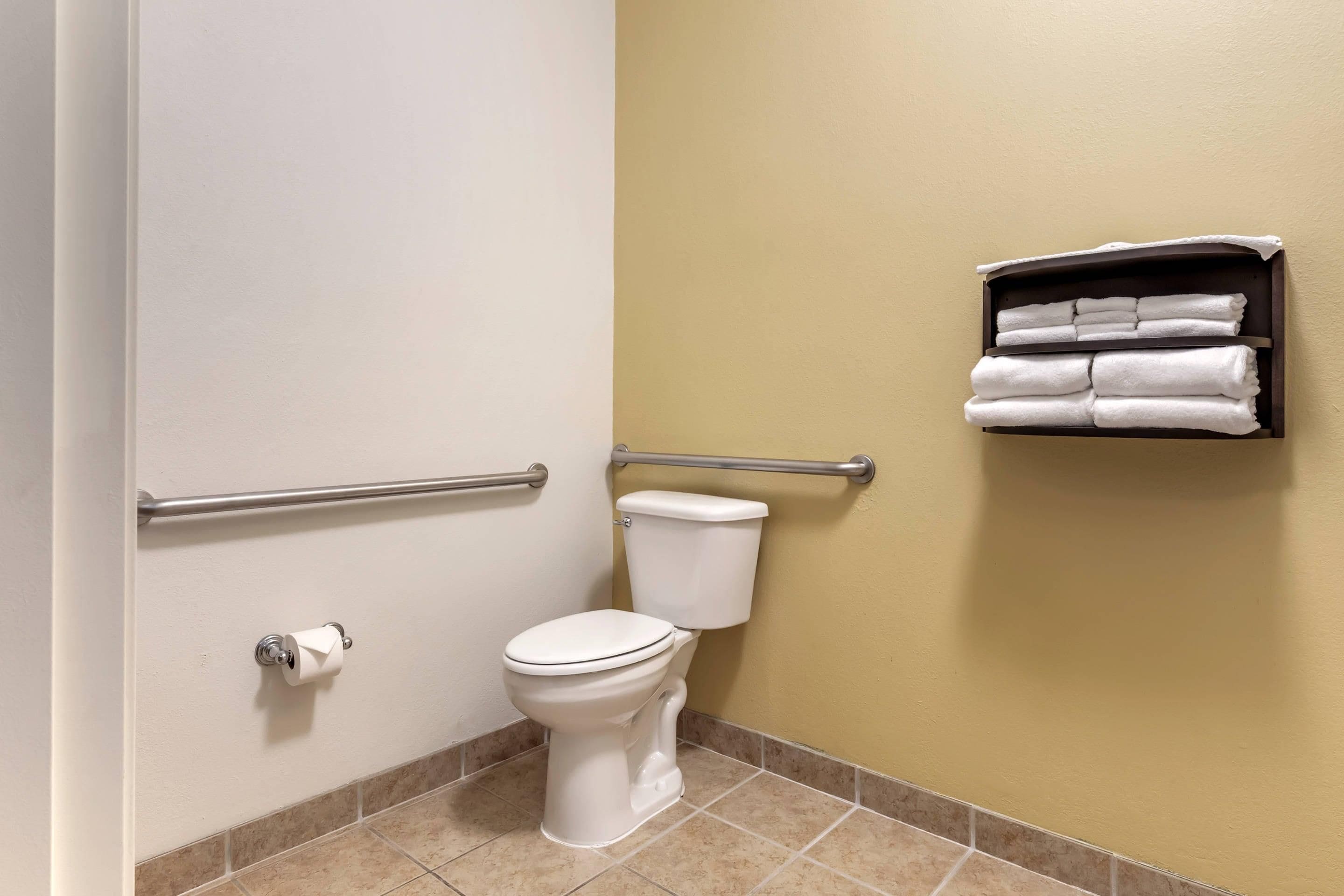 A standard bathroom with a toilet, a handrail, and a towel rack.