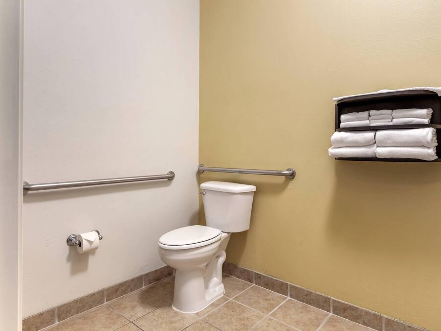 A standard bathroom with a toilet, a handrail, and a towel rack.