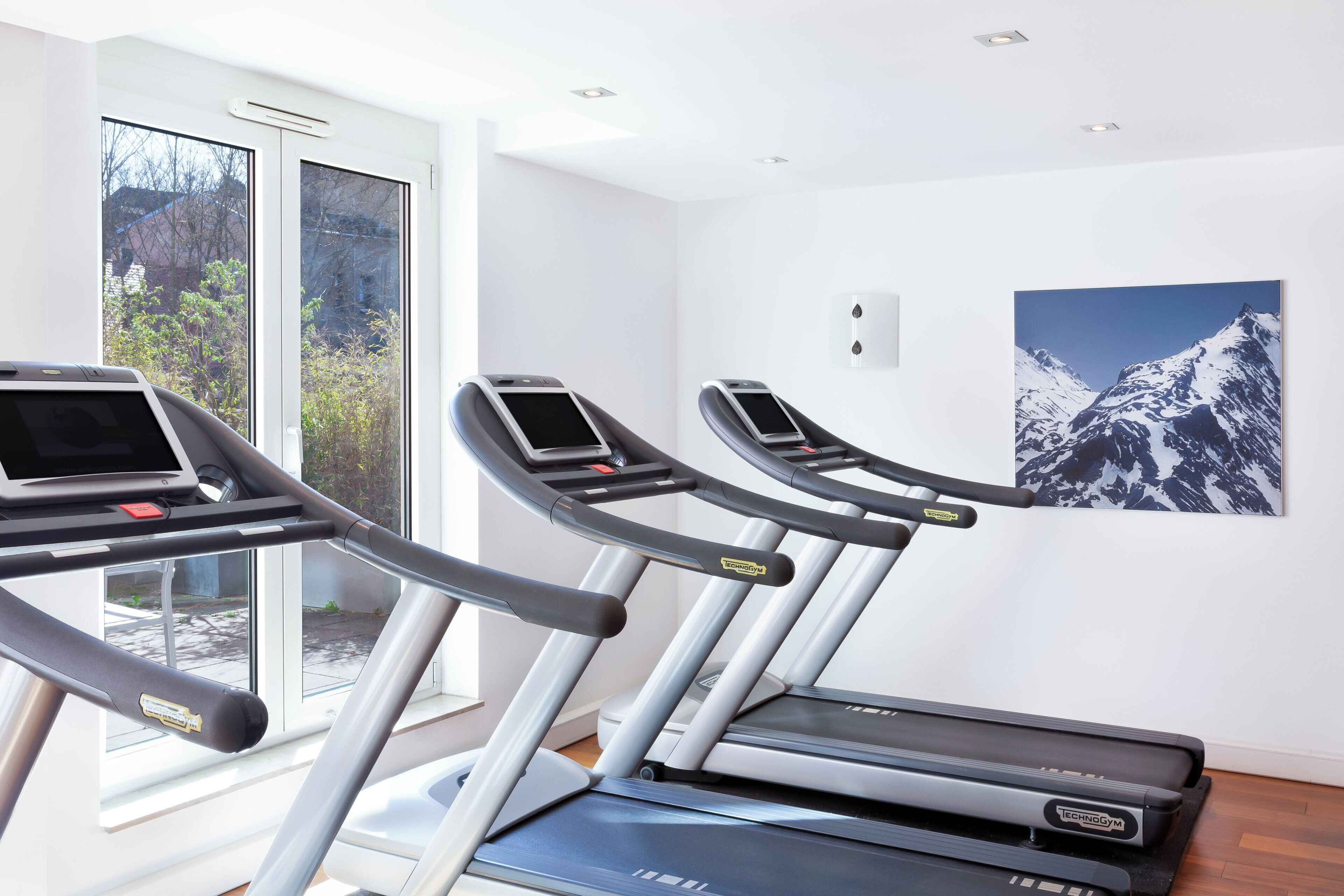 Une salle de sport équipée de tapis de course, dotée d’une grande fenêtre et ornée d’un tableau représentant une montagne.