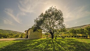 A building with a stone facade, surrounded by a grassy area with a large tree in the foreground. - Villaggio della Salute Più (Monterenzio)